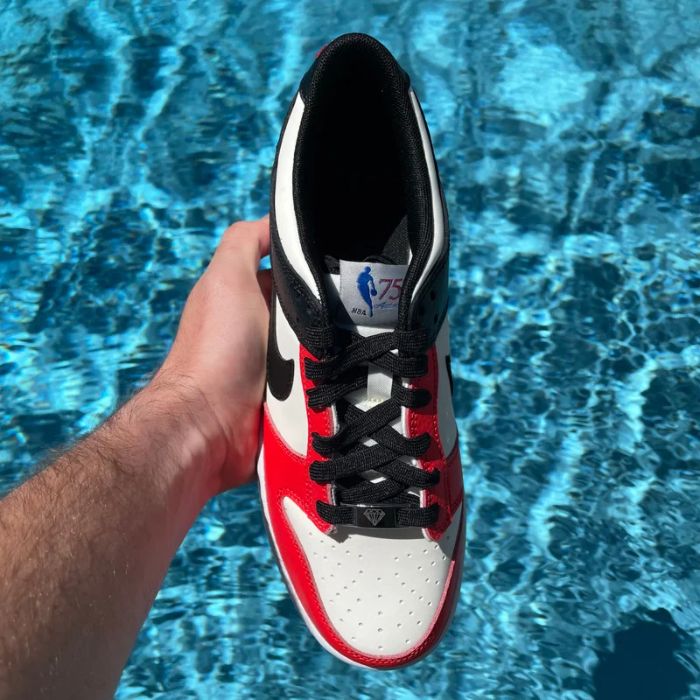 Nike Dunk Low EMB 'NBA 75 Chicago' (GS)